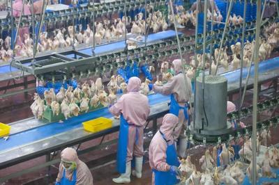 乳山預(yù)制菜企業(yè)實(shí)現(xiàn)年銷售額近10億元，飼料原料銷售雙輪驅(qū)動(dòng)