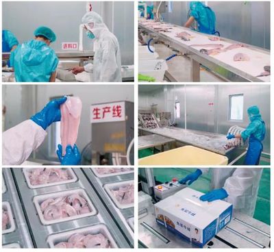 牛蛙飼料巨頭再啟新篇 年銷破10萬噸后，戰(zhàn)略布局原料銷售市場(chǎng)